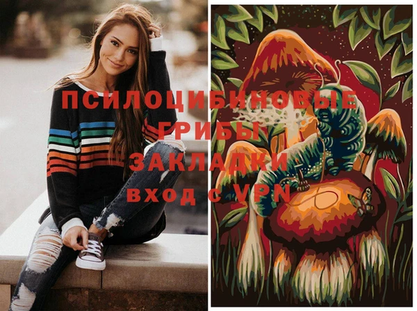 дживик Алзамай