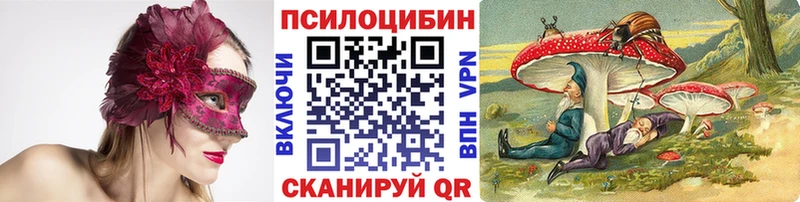 Галлюциногенные грибы Psilocybe  Дыгулыбгей 